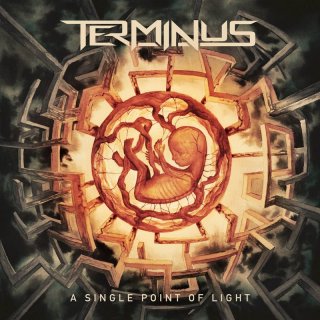 TERMINUS A Single Point of Light LP (BLACK VINYL)